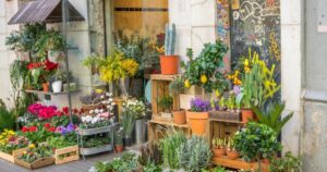 An independent shop front, the kind of small business that trades under its own name